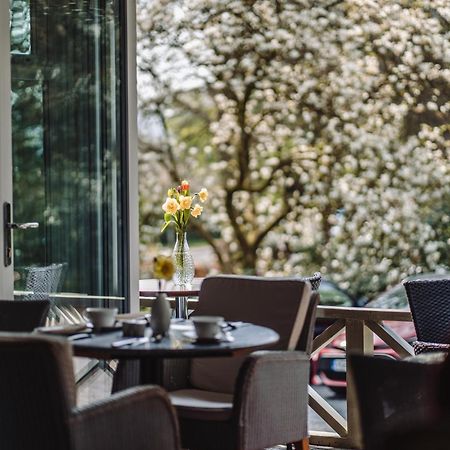 Ambleside Manor - Vegetarian B&B Екстериор снимка