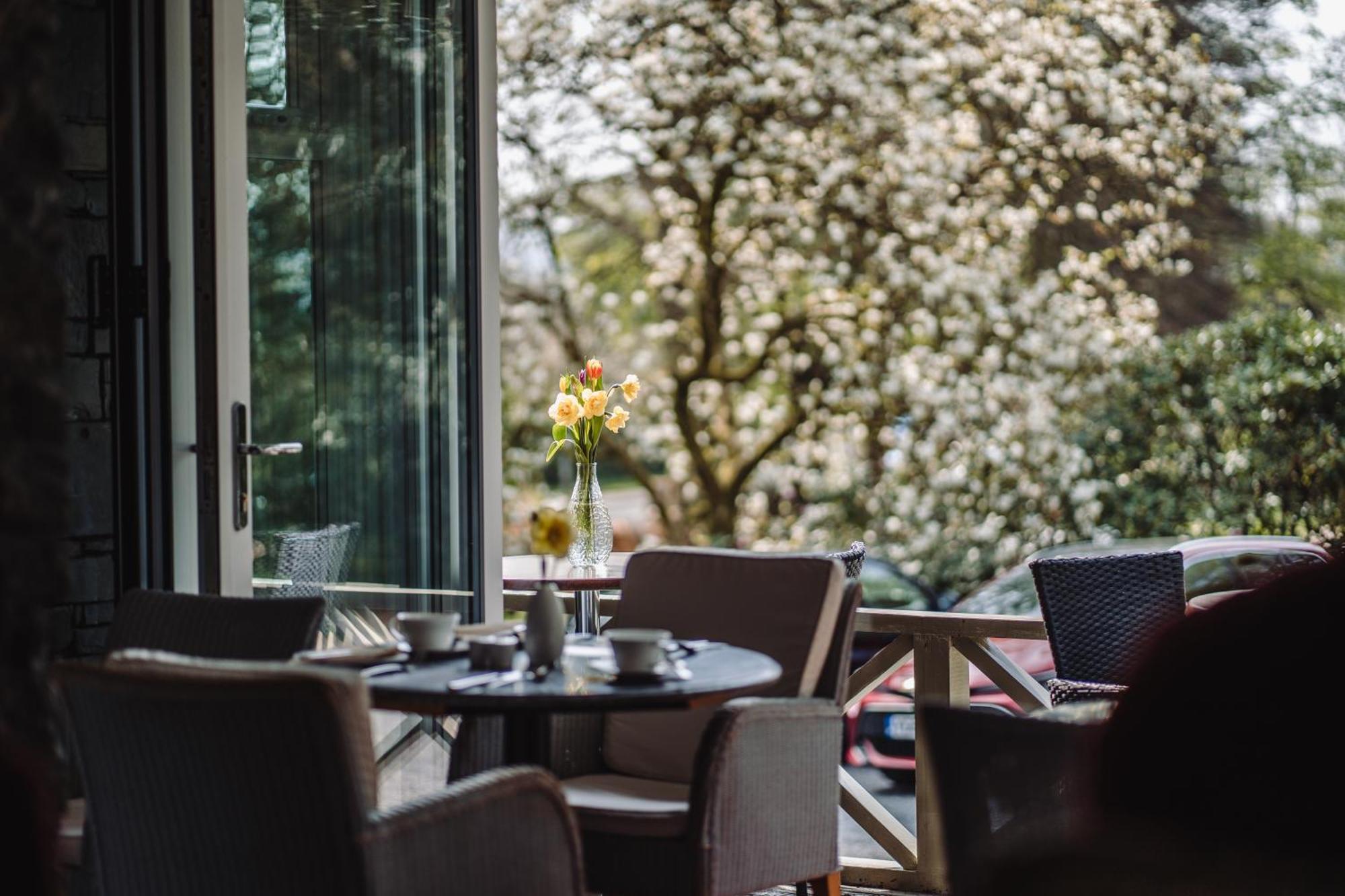 Ambleside Manor - Vegetarian B&B Екстериор снимка